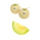 Shizuoka Premium Crown Melon (2pcs)