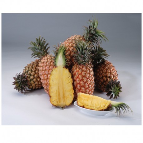 Ripe Golden Pineapple