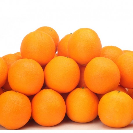 Large Navel Orange (LL size) 20pcs