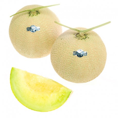 Shizuoka Premium Crown Melon (1pc)
