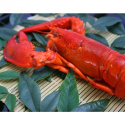 Boiled Homarus Lobster (With Shell) 350g x 3