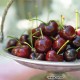 Auvil GEE WHIZ - Dark Cherry (2.2lbs)