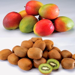 Mango & Kiwi Fruits Mini Set