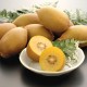 Large Yellow Kiwi Fruits 15pcs
