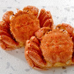 Boiled Hokkaido Whole Horsehair Crab (400g x 2)