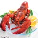 Frozen Homarus Lobster 4pcs