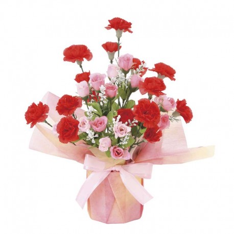 Photocatalyst Mini Mixed Carnations