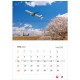 JAL Fleet Wall Calendar x 5
