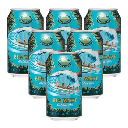 Father's Day Special Hawaiian Beer Set A