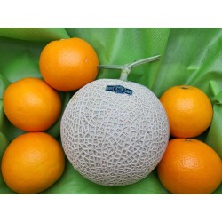 高知県産マスクメロン1玉とオレンジ